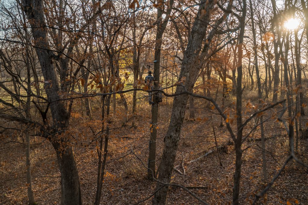 Saddle Hunting, Hunter Saddle Hunting, Bowhunter Saddle Hunting